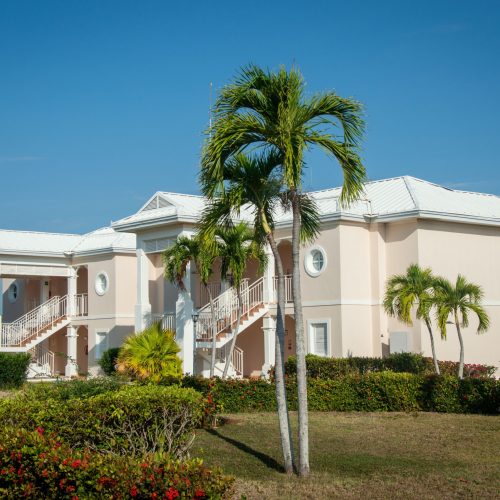 Home A luxurious villa amidst tropical palm trees, perfect for a serene getaway.